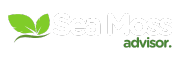 Transparent_small_seamoss