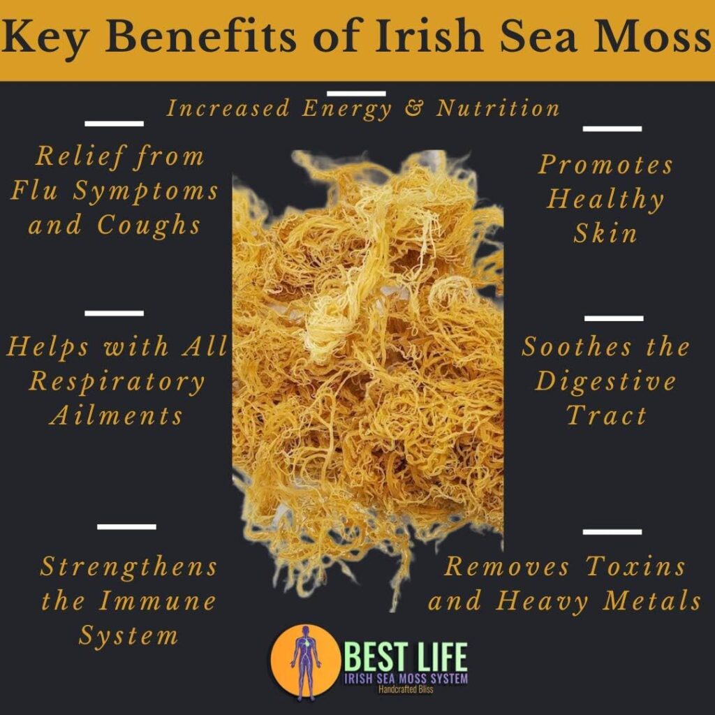 Authentic Wildcrafted Irish Sea Moss Gel