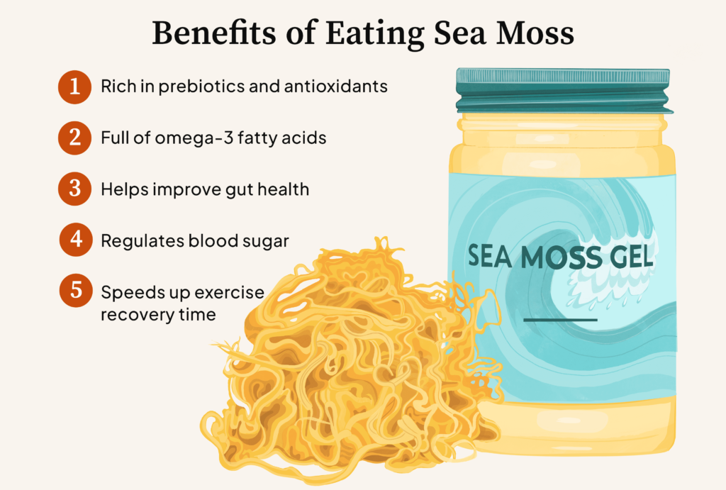 Can You Take Sea Moss And Fish Oil Together?