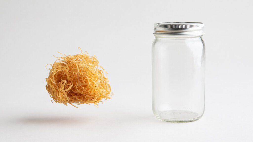 Does Sea Moss Break A Fast?
