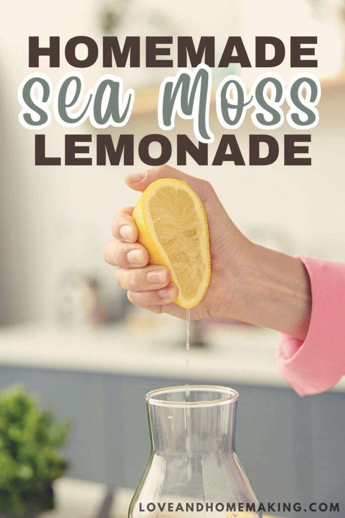 How To Make Sea Moss Lemonade?